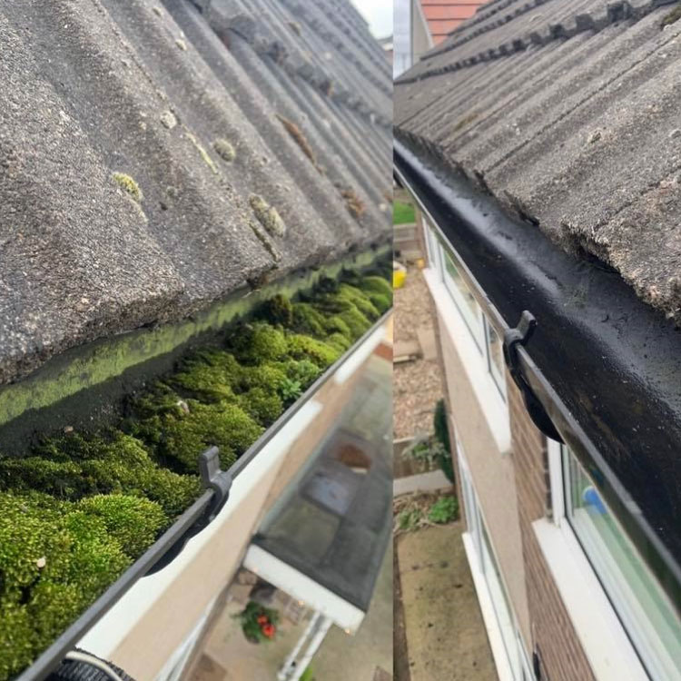 Before & After
