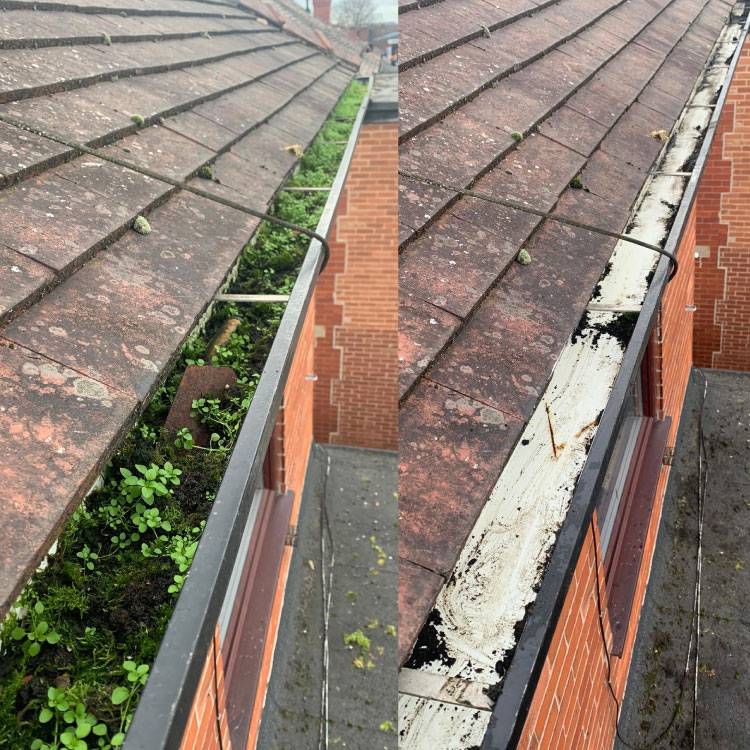 Before & After